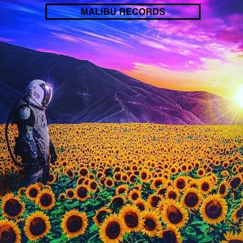 MALIBU SESSIONS - SKYWALK3R (Let's  Take A Trip Together #AMAPIANO)EP 1