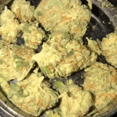 og nigga music playlist