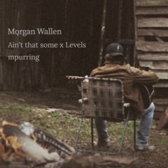Morgan Wallen x Avicii - Ain't That Some x Levels (mpurring edit) 10 minutes for copyright