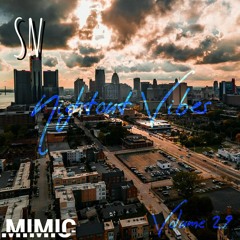 Nightout Vibes volume 29