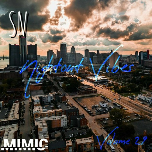 Nightout Vibes volume 29