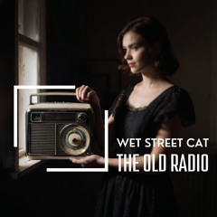 The Old Radio