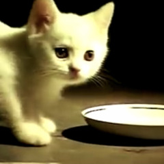 жизнь бывает разной