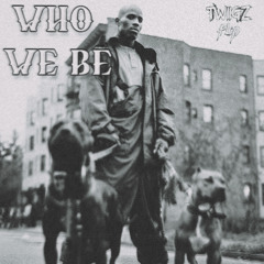 DMX - Who We Be (TWiiGZ  Flip)