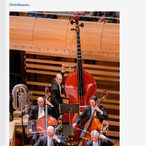 STBB#853 Octobasse Week Hosted by JoaGymshoe and d.c.