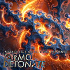 Immaculate Selections Presents - DETONATE - TARMO - Disc 1