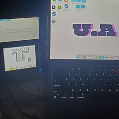 #1 fan