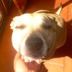 oleada ke me lleva