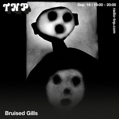 Bruised Gills @ Radio TNP 16.09.2023