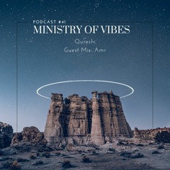 Ministry Of Vibes - Podcast #41 (Guest Mix: AMR)