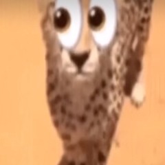 hang - vnpyuh(kurt)[BROKE AMIRI+FUCKYOUJAYDEN EXCLUSIVE]