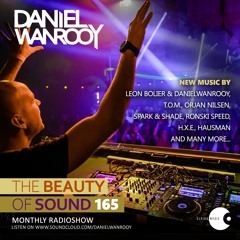 Daniel Wanrooy - The Beauty Of Sound 165