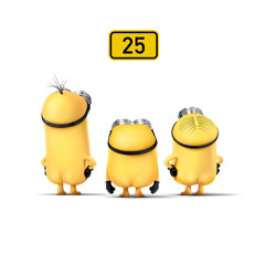 25
