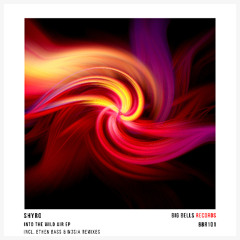 PREMIERE: Into the Wild Air - SHYRO (Original Mix) [Big Bells Records]