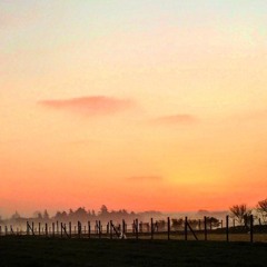 live 砂のcorrido -2025:09:30 12.02