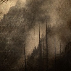 Forgive Don’t Forget (9am pitfulrock grolth)