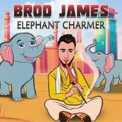 Elephant Charmer