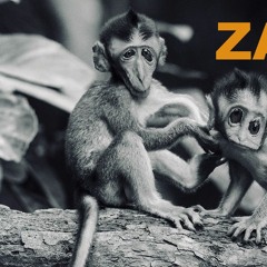 Sans alcool et sans Tom