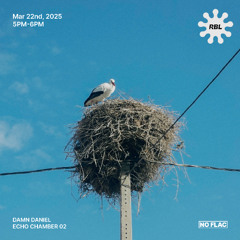 DAMN DANIEL - Echo Chamber Vol 2 @ RBL Radio