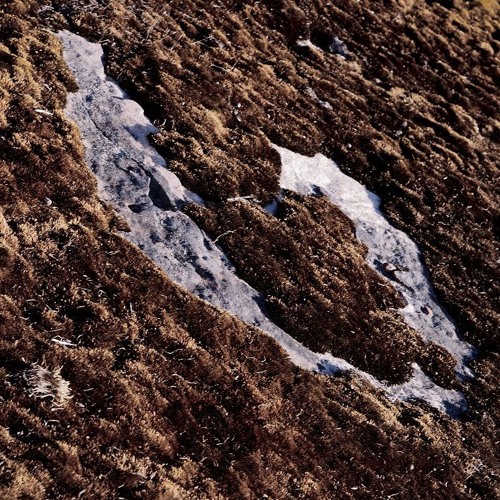 Premiere: Edward Richards - Pointer