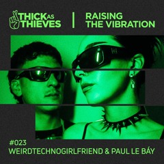 Raising the Vibration Mix #23 — weirdtechnogirlfriend & PAUL LE BÁY