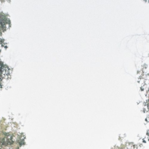 Cute Little Thing I Did This Morning