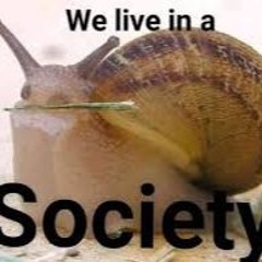 a sophisticated snail V1.0