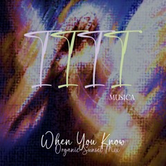 1111 MUSICA - When You Know (1111 MUSICA Organic Sunset Mix)