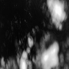 XIV Orchestral - Presences I