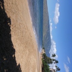 Cookies On The Beach