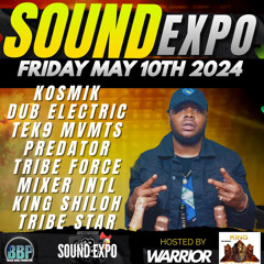 SOUND EXPO - Mighty Mixer, Kosmik, Dub Electric, Tek 9, Predator, Tribe Star - Hosted by Warrior
