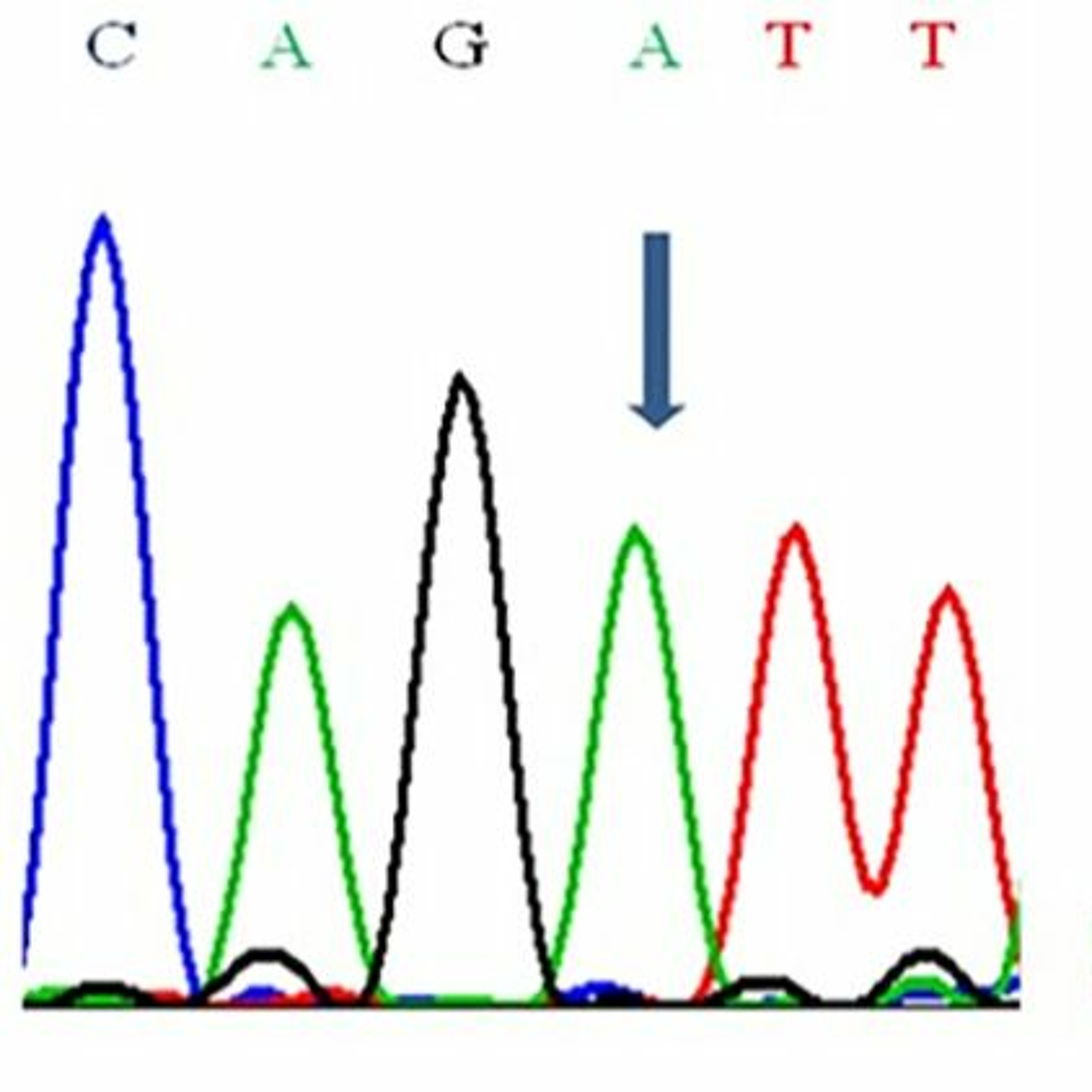 Oncotarget