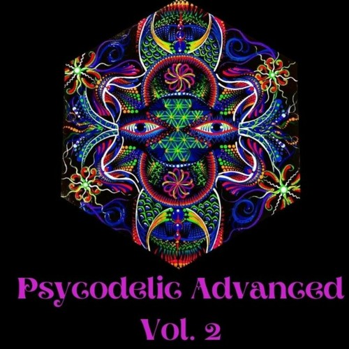 Set- Cid Muller Psycodelic Advanced Vol: 2