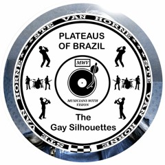 PLATEAUS OF BRAZIL