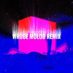КУОК - СТАЛЬ (Wrode Molod Remix)