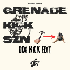 SLVL - SHMONEY [DOG KICK EDIT]