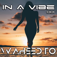 In A Vibe 001