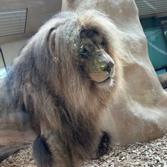 mania|||Hardtekk mix||| Birtekk.Offical