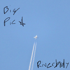 Big Pic