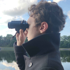 Looking For A Friend