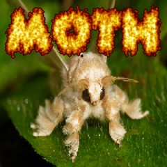 the