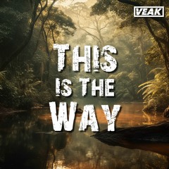 Veak - This Is The Way (Free Download)