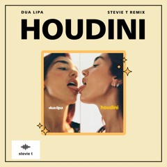 Houdini, Dua Lipa (Stevie T Remix) FREE DOWNLOAD