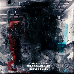 Premiere: Coss & Solatic - Monkey Mind (Landhouse Remix) [Baikal Nomads]