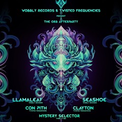 The Orb Afterparty @ Waterbear. Wobbly Records & Twisted Frequencies Opening Set 24.10.2025