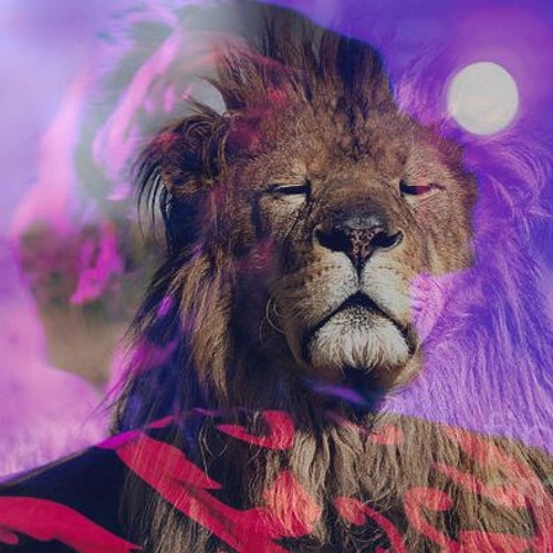 KNUS Beestenboel 2024