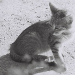 Lobotomie (PF2020 edit)