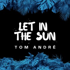 Let In The Sun (Extended Mix)