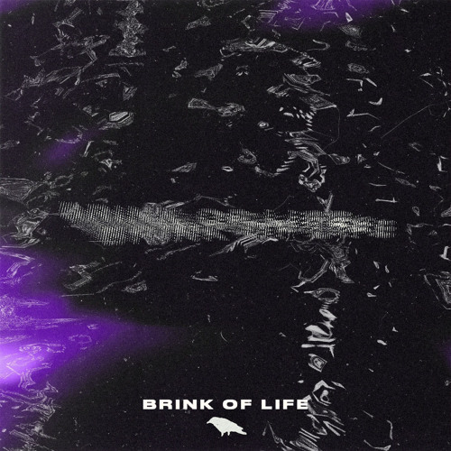 Brink Of Life