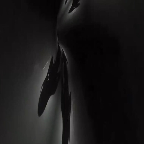 ‎‎ ‎ ‎ ‎ ‎ ‎‎‎ ‎‎